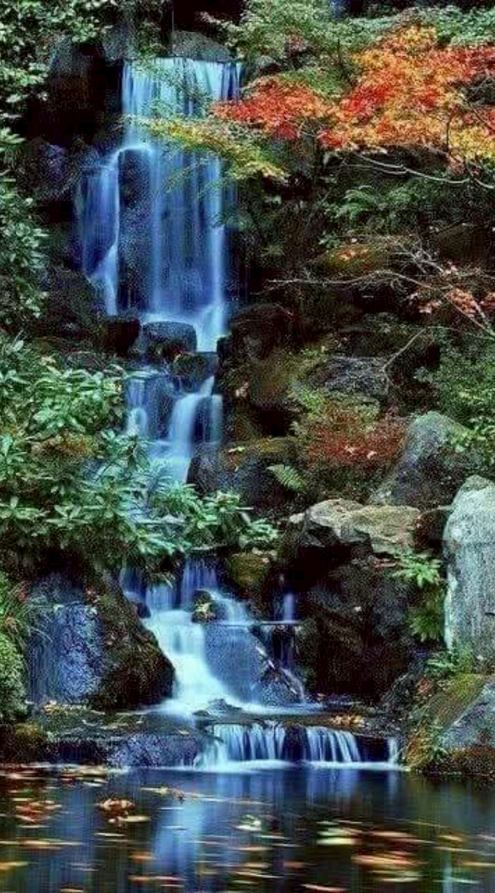 神奇種生基-許老師807群