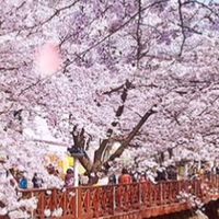 🌟找到了旅行社🌟找到了旅遊✈️國內外旅遊✈️團體旅遊🌍清倉、早鳥、晚鳥、超值行程🌍