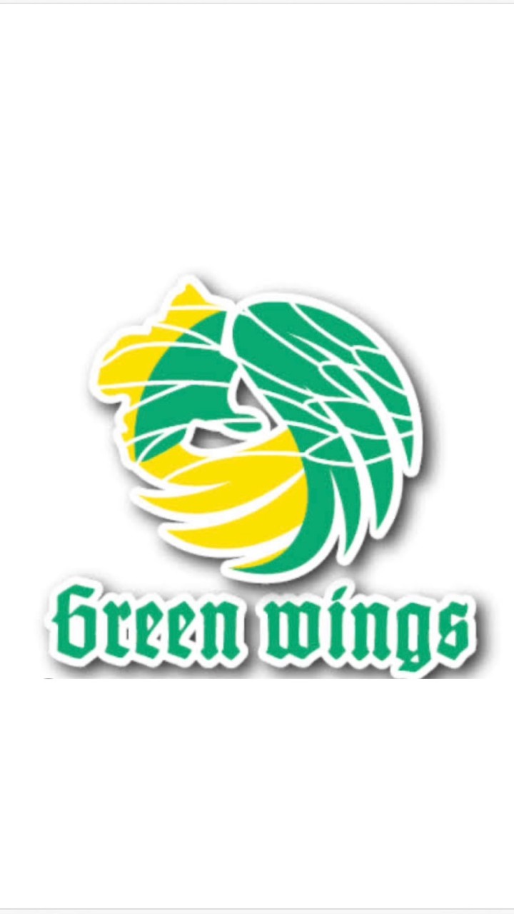 🪽群馬グリーンウイングス