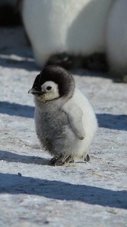 くだらない技と神業チャレンジしよう