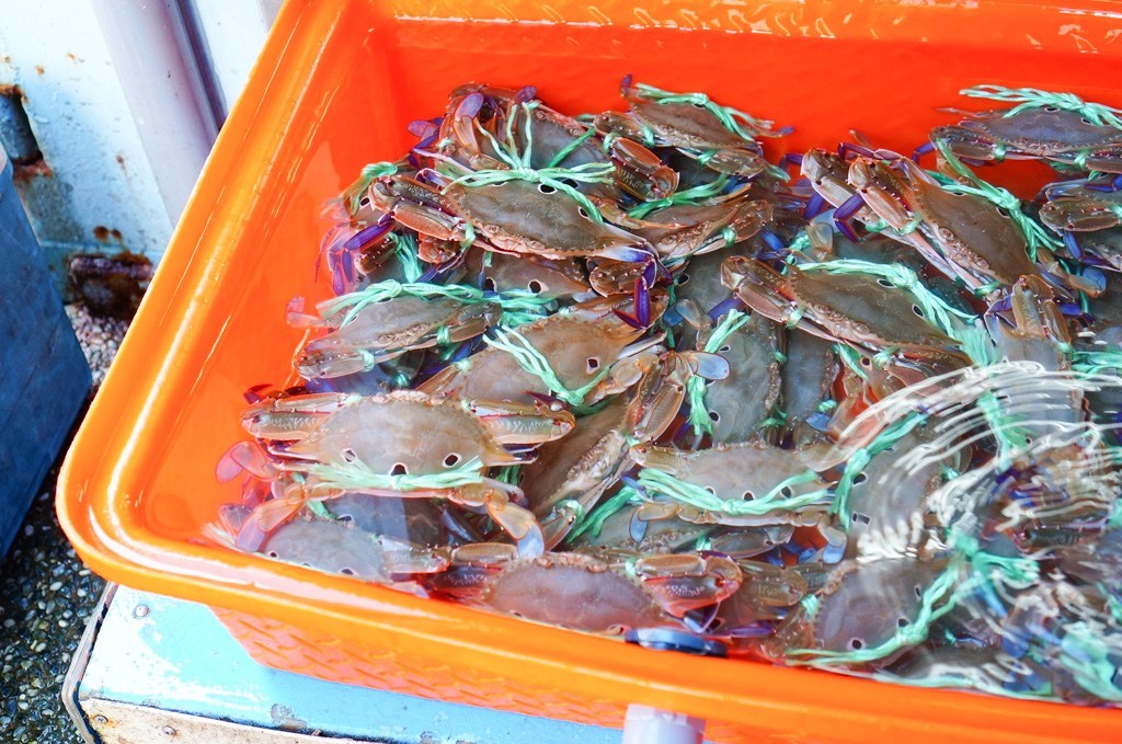 龜吼小漁村活海鮮, 龜吼美食, 萬里美食, 北海岸美食, 龜吼漁港海鮮餐廳