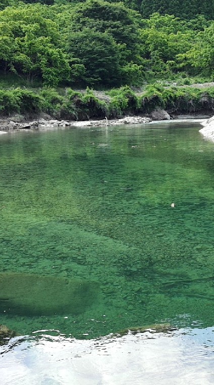 最近いい釣りできました？のオープンチャット