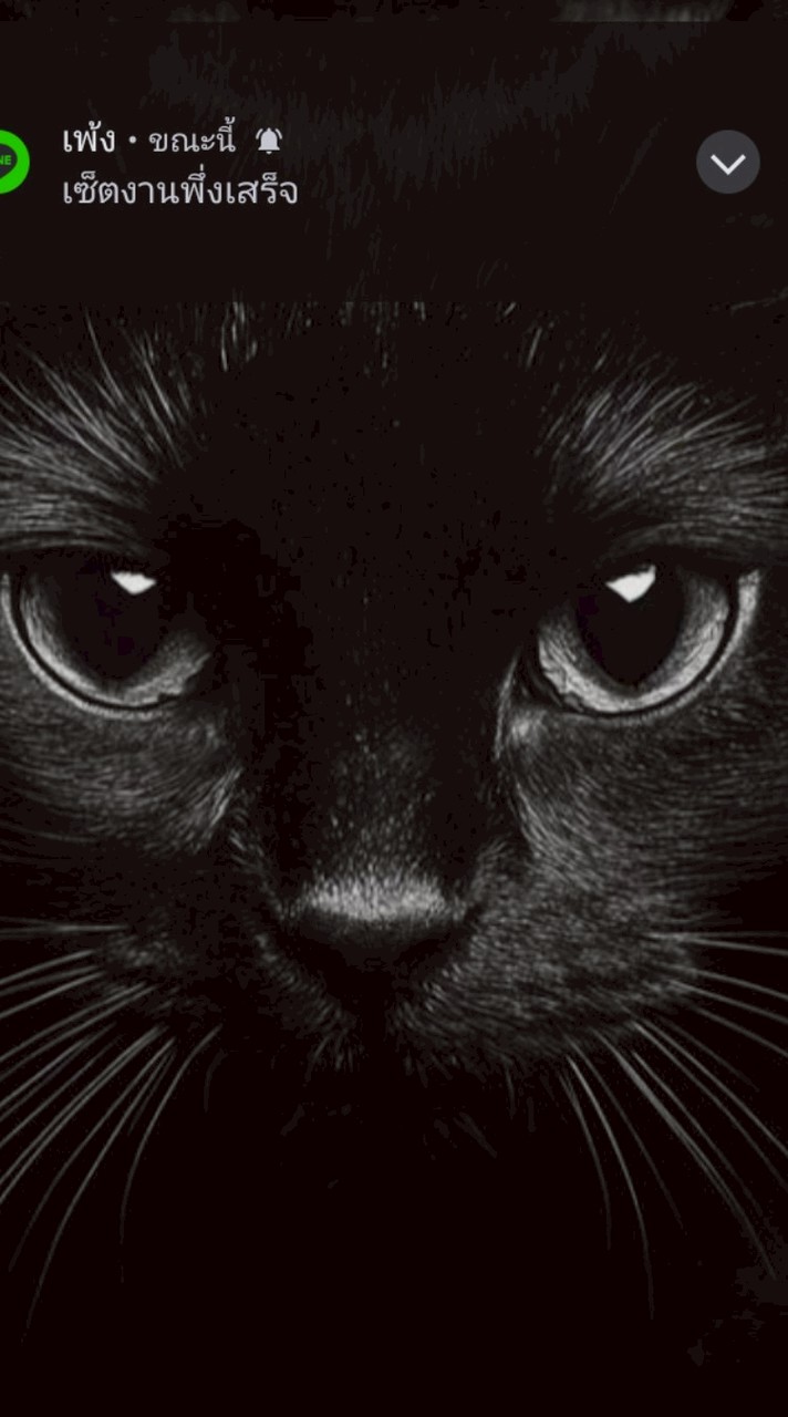 รับงานทุกรูปแบบครับ มีนบุรีมีรถเดินทางครับ