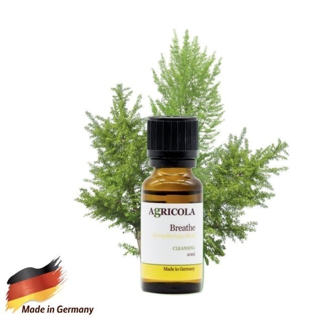 https://www.momoshop.com.tw/goods/GoodsDetail.jsp?i_code=7290160&osm=feebee&utm_source=CPA&utm_medium=feebee_P74RNg4uFAACR7uewEYP6fg%3D%3D.9t