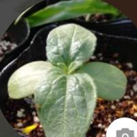 福祉の相談所（障がい、介護、虐待等々の悩みに答えます）