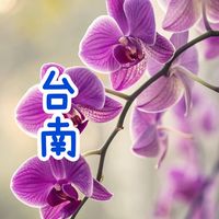 台南房地產跑單分享聯誼會（限台南女性跑單加入）
