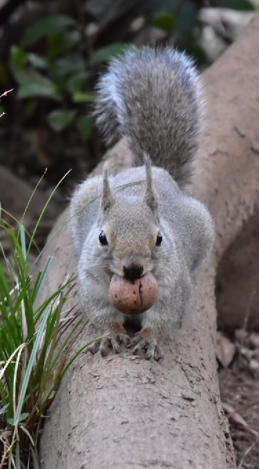 生き物好き！動物園好き！ OpenChat