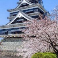 🇯🇵リチャード・クーコミュニティフォーラム