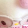 ด้อมปุ๊จิ