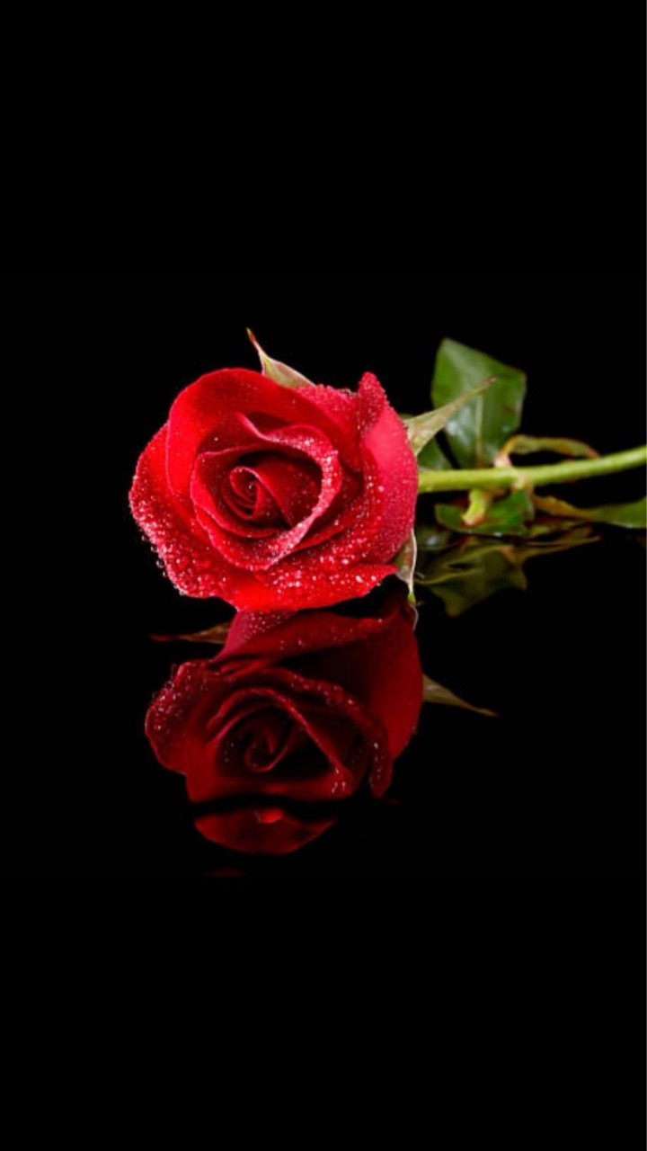 全民PARTY同好社群之Yan🌹姐原群不知道為什麼被刪