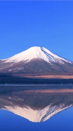 ☆日曜専用☆スイクンポケカ部🦍のオープンチャット