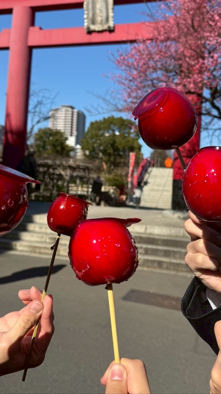 日本大学理工学部物質応用化学科　26年春から🌸！！