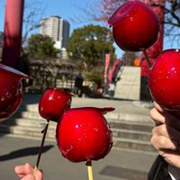 日本大学理工学部物質応用化学科　26年春から🌸！！