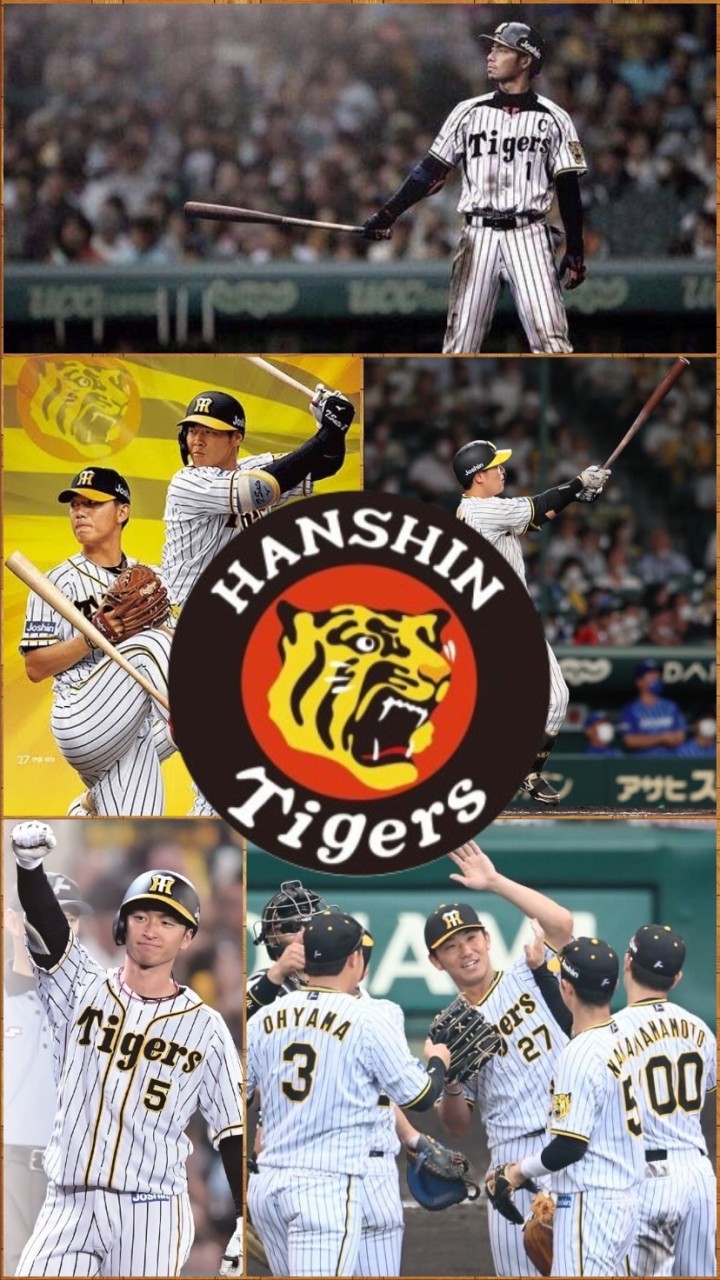 🐯阪神タイガース応援団🐯