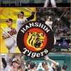 🐯阪神タイガース応援団🐯