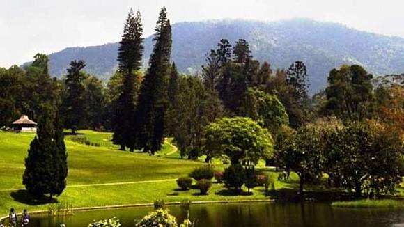 Enam Taman Bunga Terindah Di Indonesia