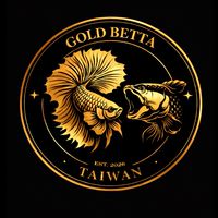 Gold Beaat(鬥魚、雷龍）專賣