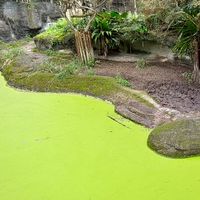 天使進階班