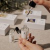 Aroma Brand 香氛加速器