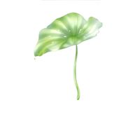 เพื่อนรุ่น 65