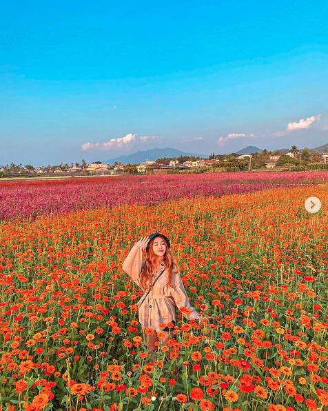 圖片來源：IG @benben_725