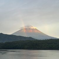 豆腐メンタル強化作戦✨
