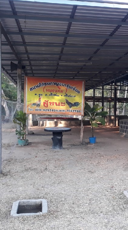 สนามชนไก่กาญจนารุ่งเรือง(หนองทีม)