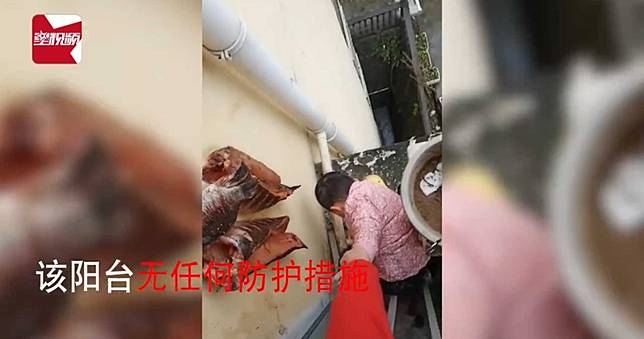 媽指使男童高空陽台外撿魚　網諷：兒子可以再生醃魚不行