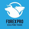 ForexPro Scalping Trade
