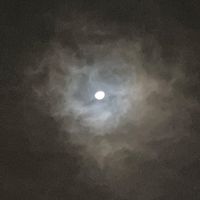 もうすぐ？！中2になるバレー部来て!