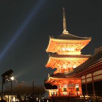 古典特進
