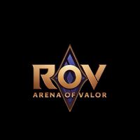 Professional ROV