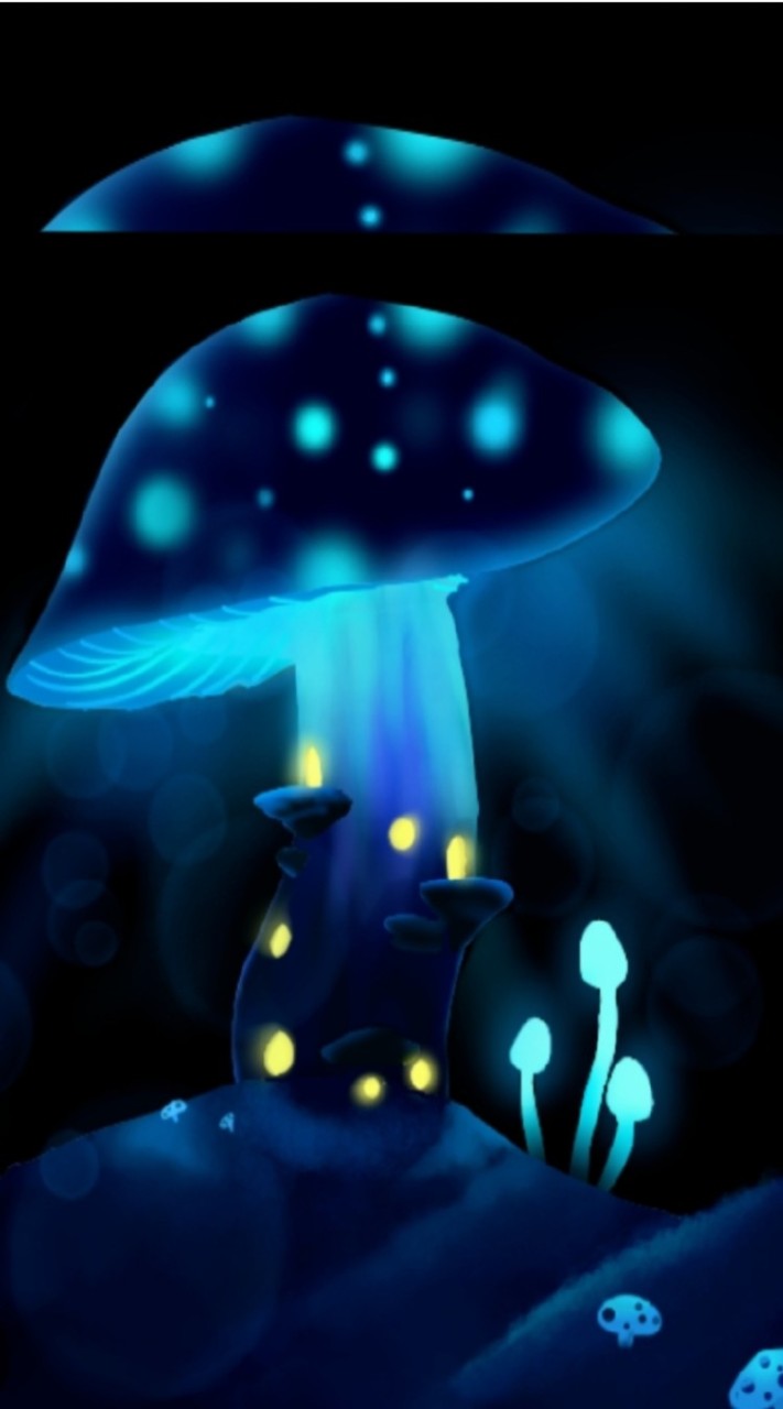 紫藤🍄心田村