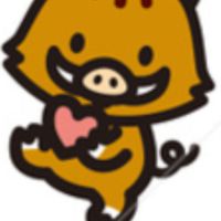 大掌櫃 野豬的逆襲