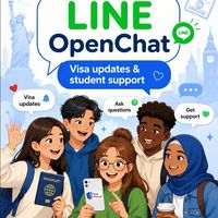 CM-IES VISA Prompt