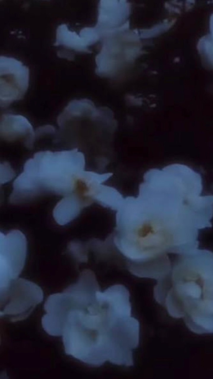 ꒦꒷ おばけに なっても　꒦　弾論 激緩 也