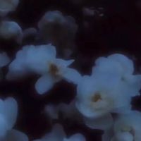 ꒦꒷ おばけに なっても　꒦　弾論 激緩 也