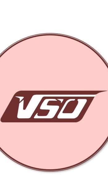 靠杯VSO 鴻呈