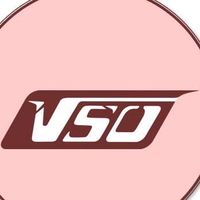靠杯VSO 鴻呈