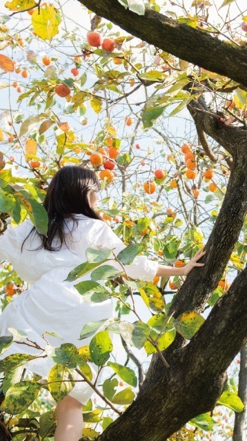 柿の木便り 編集部 ✨のオープンチャット