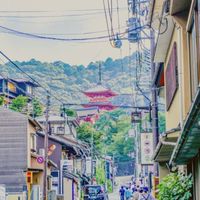 好便宜日本購🎌LULU日本零售批發