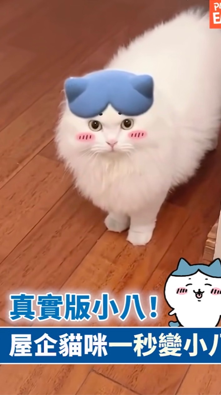 鼠妮 鼠球 鼠條 鼠芋妮～