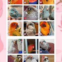 療癒系寵物群🥰