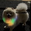 エンクロ　ステへ　ゲームするかも