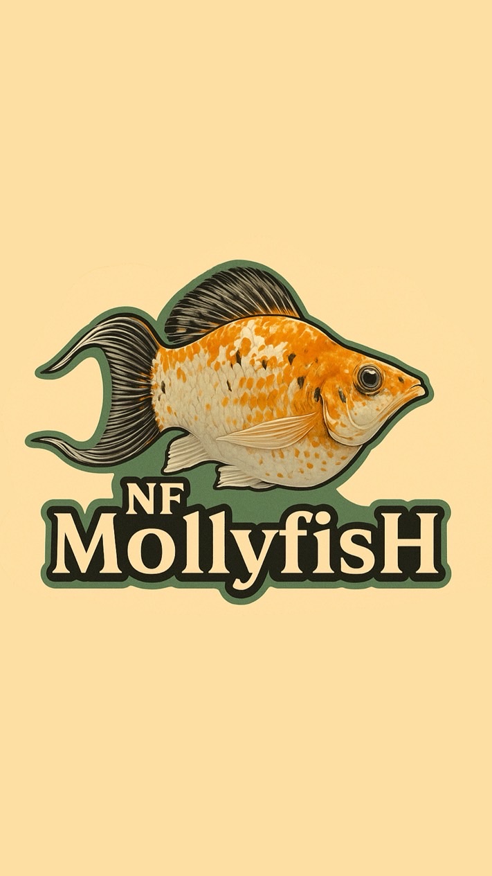 NF MollyfisH