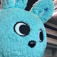 もころん情報共有