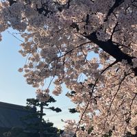 Questジュニアリーグ3月30日