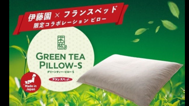 茶湯當飲料，茶渣做枕頭，伊藤園的茶葉回收枕