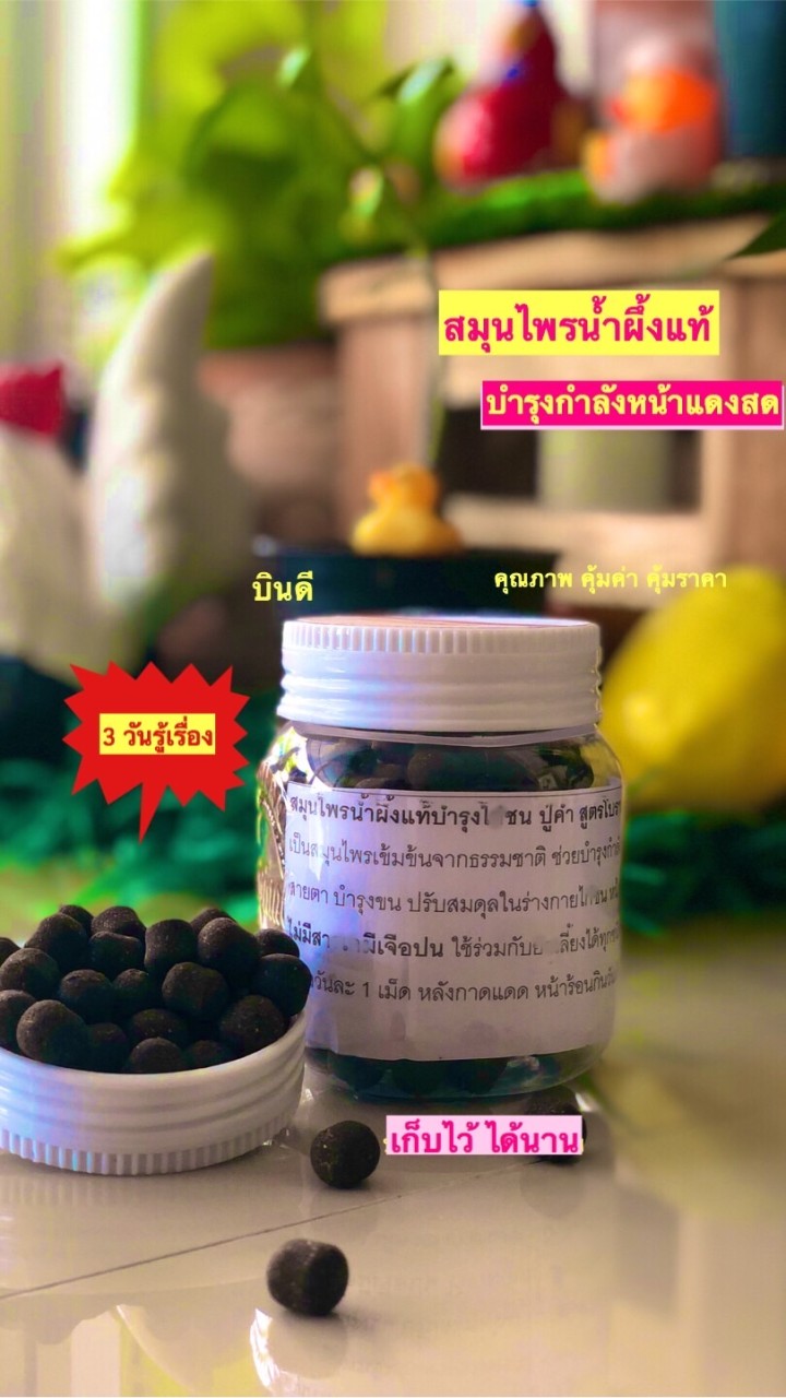 สมุนไพรบำรุงกำลังไก่ชน ปู่คำ สูตรโบราณ