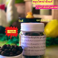 สมุนไพรบำรุงกำลังไก่ชน ปู่คำ สูตรโบราณ